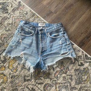 AGOLDE Parker shorts in color Swapmeet.